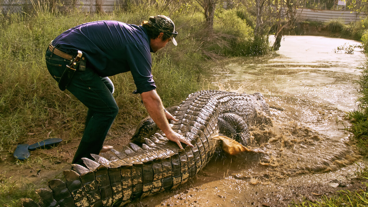 Watch Wild Croc Territory | Netflix Official Site Watch Wild Croc Territory | Netflix Official Site